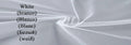 EVON BRIDAL Customized V-Neck Plus Size Wedding Dresses Full Sleeve A-Line Tulle Vestidos De Novia  Applique Long Bride Gowns