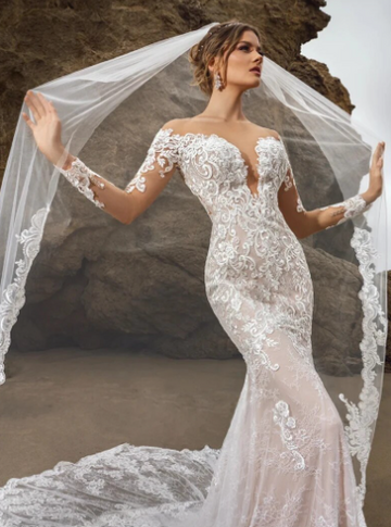 Exquisite Mermaid Long Sleeve Wedding Dress Lace Appliques Bridal Gowns For Women Sexy Deep V-Neck Backless Vestido de novia