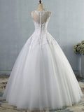 Illusion tulle applique ball gown wedding dress – back view – Snowy Bridal